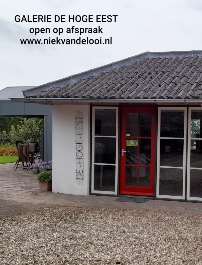 niek-van-de-looi-kunstschilder-in-bemmel